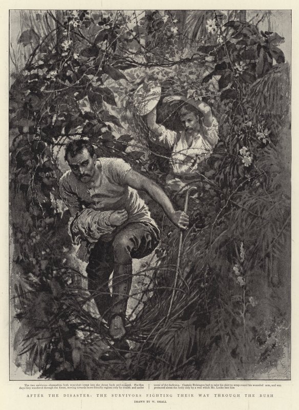 After the Disaster, the Survivors Fighting their Way through the Bush by William Small