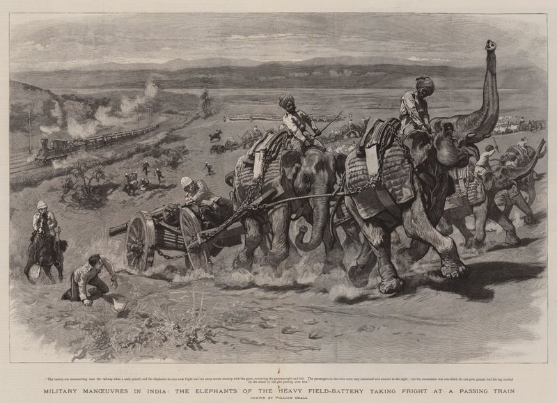 Military Manoeuvres in India, the Elephants of the Heavy Field-Battery taking Fright at a Passing Train by William Small