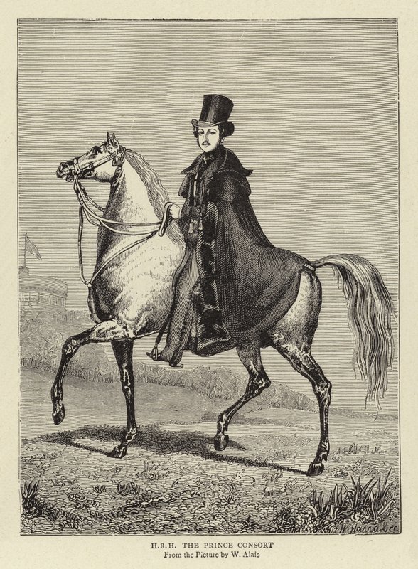 HRH the Prince Consort by William Wolfe Alais