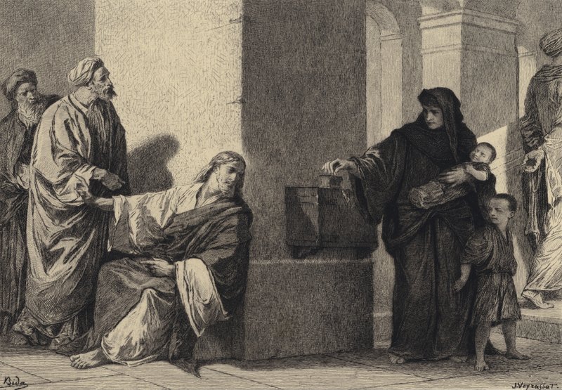 The Widow