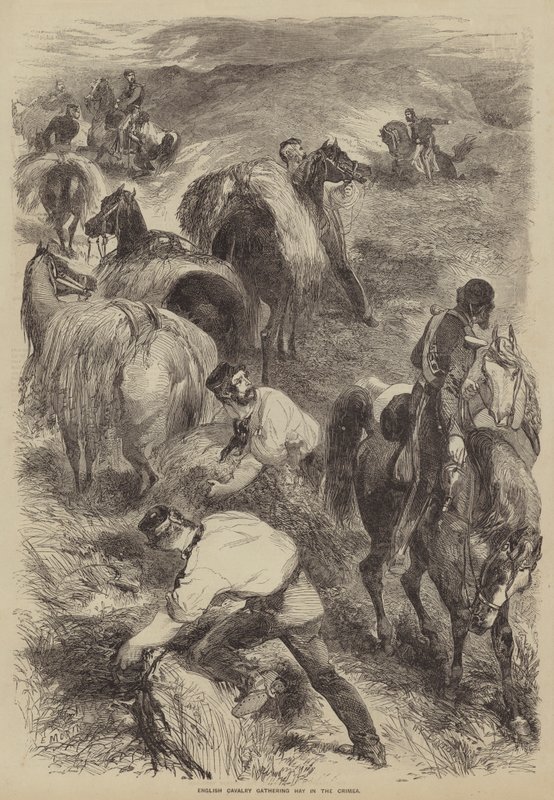 English Cavalry gathering Hay in the Crimea by after Edmond Morin