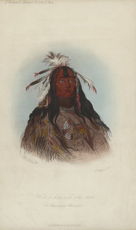 H?co-a-h?co-a-h?cotes-min, A Flat Head Warrior by after George Catlin