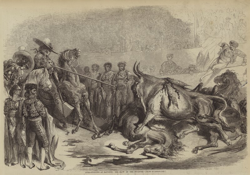 Bull-Fighting at Bayonne, the Blow of the Picadore by Gustave after Dore
