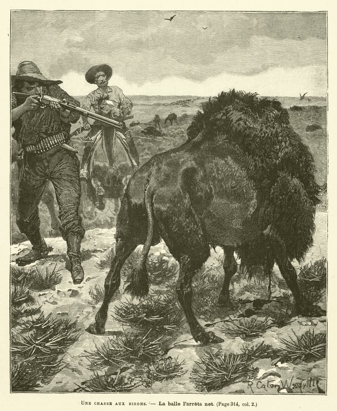 A Bison Hunt by after Richard Caton II Woodville