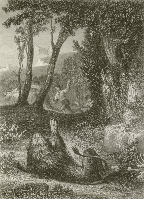 The Lion and the Gnat by after Tony Johannot