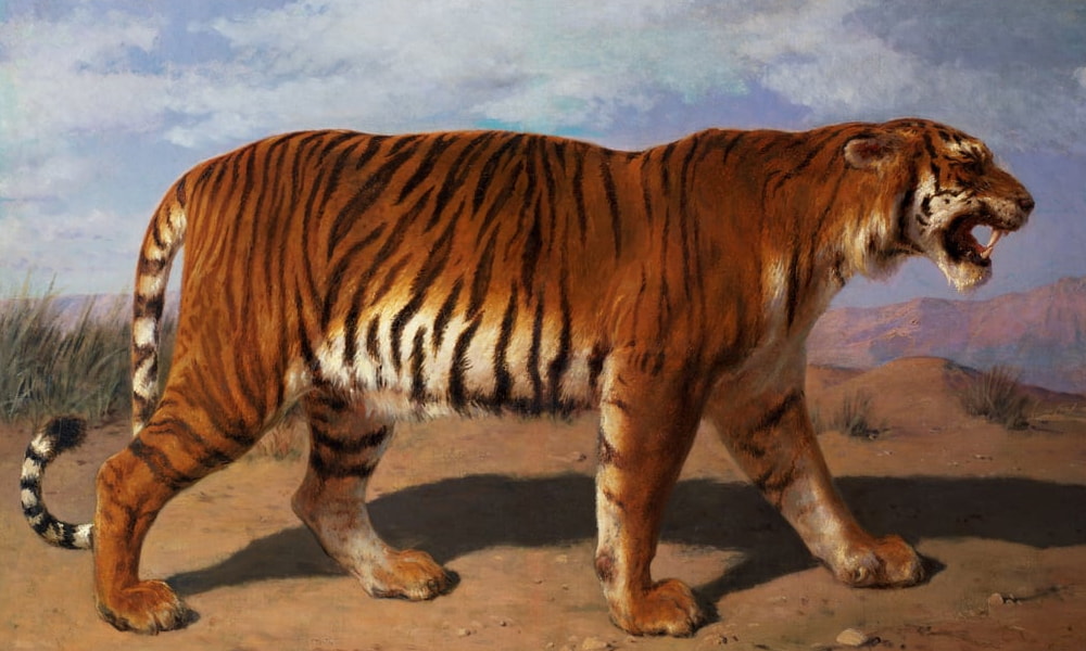 Wild Animals