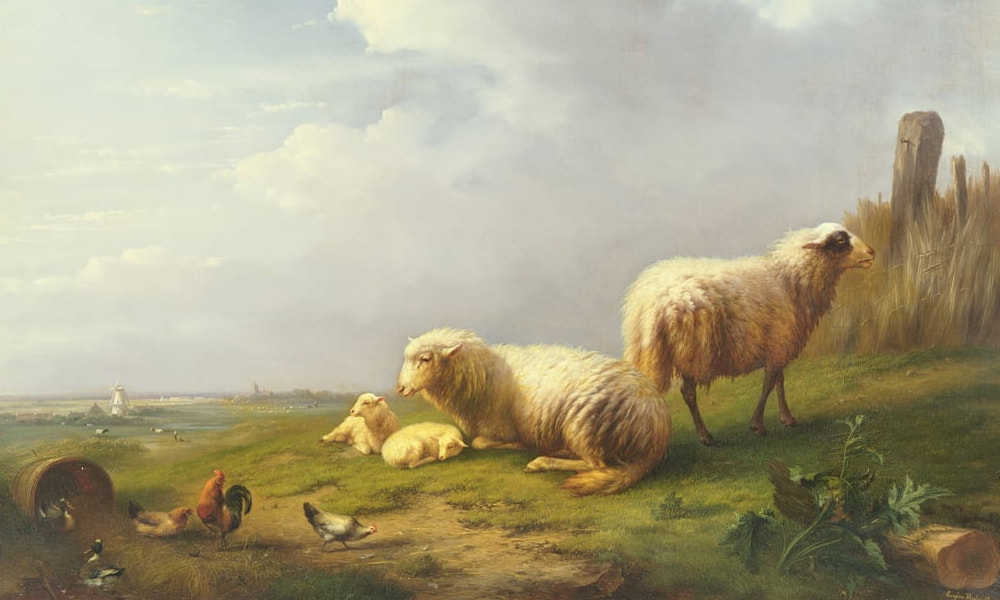 Farm Animals