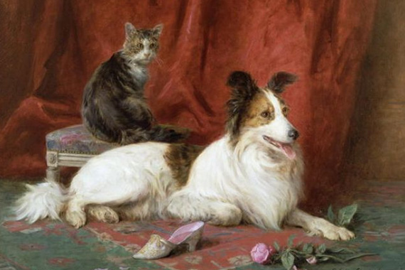 Pets