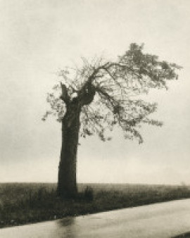 Franz Bogner