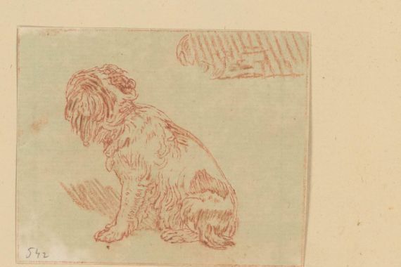 Cornelis Brouwer (possibly)