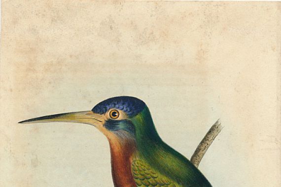 John T. Bowen/William E. Hitchcock