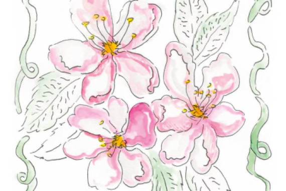 june art