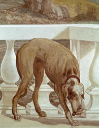 Dog on a Balcony (detail)