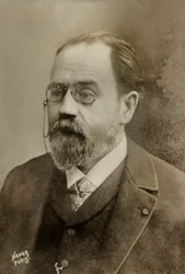 Portrait of the French Writer Emile Zola