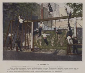 The Gymnasium