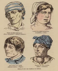 Influence of the Sun and Geographical Location on People