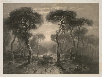 Oeuvres de A. Calame, No. 13: Forêt de Sierre en Valais