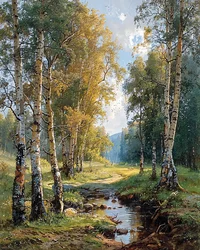 A stream running through a birch forest