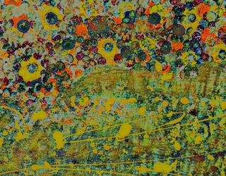 Flower Symphony