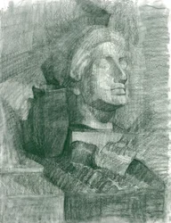 Study 5