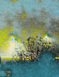 Winter Night