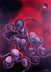 LA MORSA