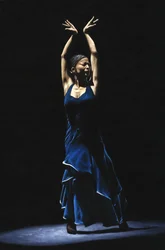 Flamenco Dancer Alone