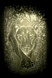 The Panther - Grey