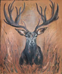 King of the Forest