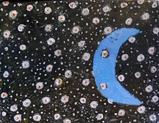 Moonlit Night