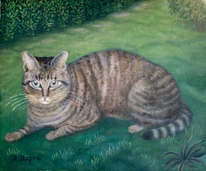 Julia the Cat