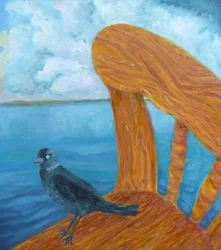 Jackdaw