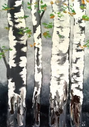 Birches