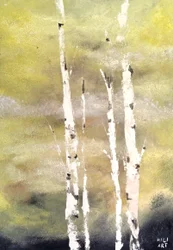 Birches in Yellow