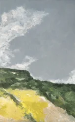 Fields of Yellow Flowers 2