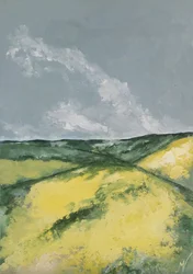 Hills and Flower Fields