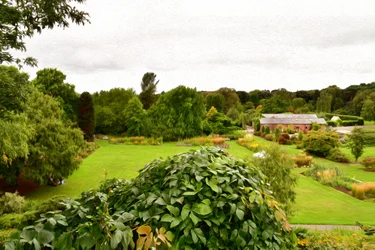 Nature Landscape