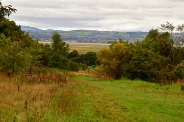 Nature Landscape