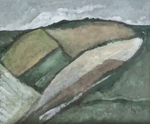Open Fields