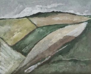 Open Fields