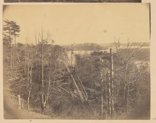 Landscape with Trees and Water