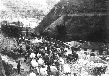 Numerous oxen transport an enormous convoy containing marble, just brought down to the valley from an Apuan quarry