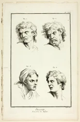 Expressions of Emotion (Hate or Jealousy, Anger, Desire, Physical Pain), from Encyclopédie