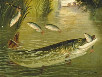 The Four That Got Away!