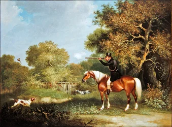 Pheasant shooting