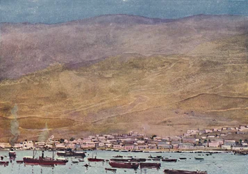 Arica