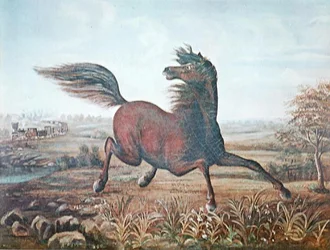 The Neigh of an Iron Horse