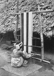 Iebu Weaver