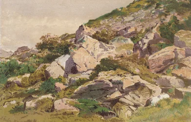 Study of Stones on the North Side of Taliaris, near Llandilo, South Wales