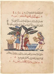 Folio from an Arabic translation of the Materia Medica of Dioscorides, 1224